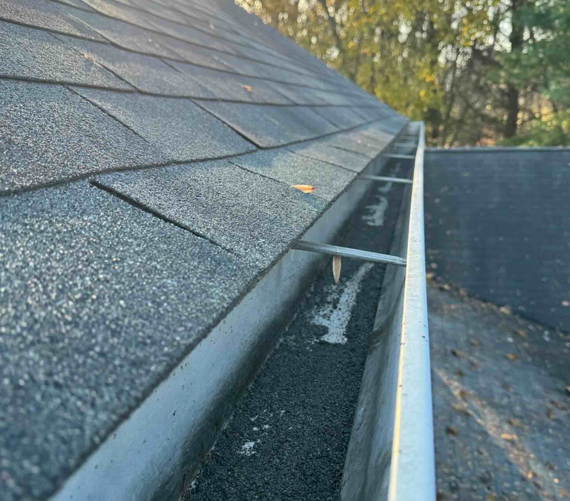 Gutter Cleaning